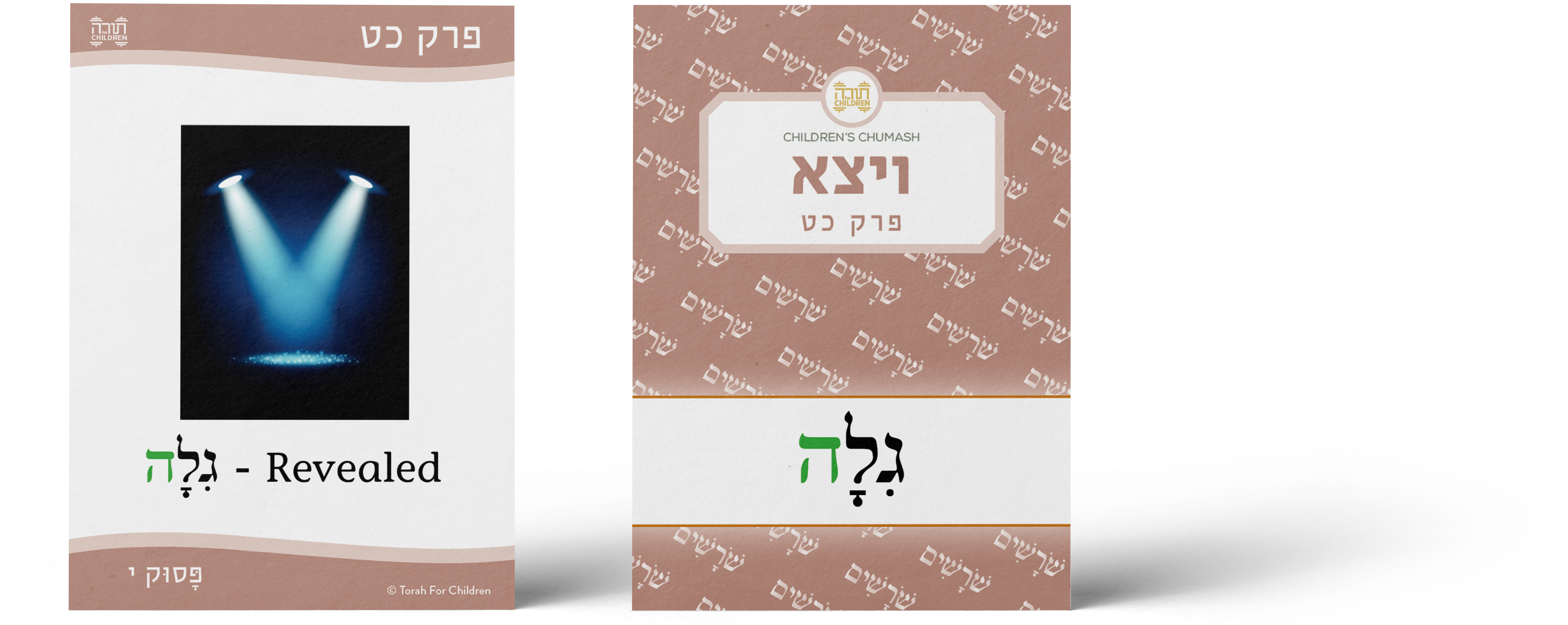 Children's Chumash Vayeitzei Flashcards (251 Cards)